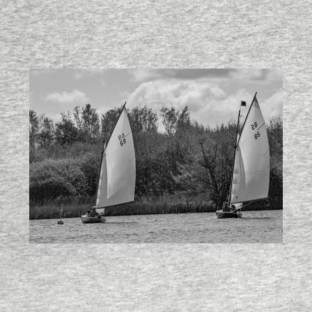 Two brown boats on the Norfolk Broads in the village of Wroxham by yackers1